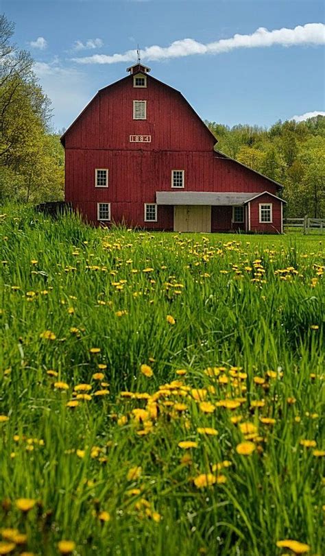 Farm Scenery Country Barns Country Living Farm Pictures Barns Sheds