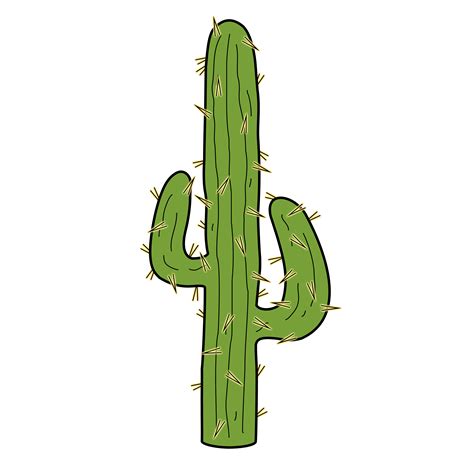 Cactus Clipart Png Hq Transparent Cactus Clipart Cactus Drawing