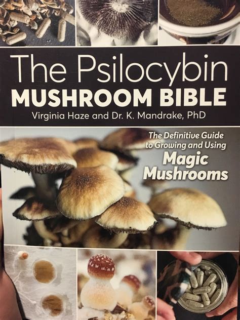 Magic Mushrooms In Virginia All Mushroom Info