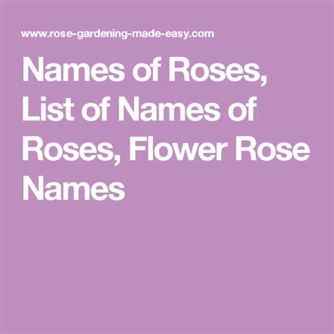Names Of Roses List Of Names Of Roses Flower Rose Names Rose Names Flowers