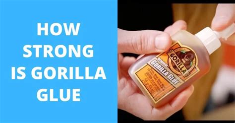 How Strong Is Gorilla Glue Find Out Here