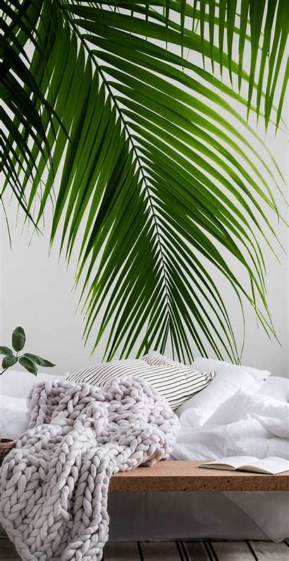 Palm Vibes Leaves Happywall