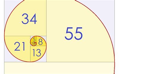Portal Furnari Espiral De Fibonacci ProporÇÃo Áurea
