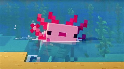 Minecraft Axolotl Background