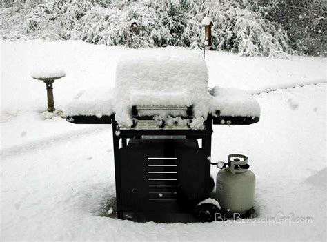 Winter Grilling Perfect Cooking Tips For Winter Barbecue Bbq Grill