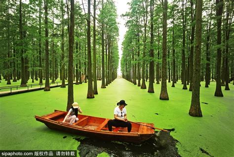 Ecological Tourism Revitalizes Jiangsus Wetland Park Cn