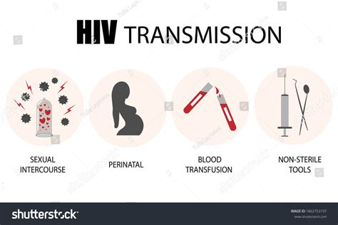 Hiv Transmission Images Stock Photos D Objects Vectors Shutterstock