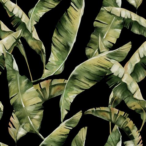Tropical Leaves Free Stock Photo Public Domain Pictures