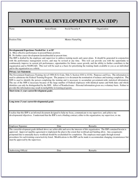 Idp Individual Development Plan Template