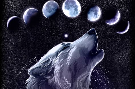 Here are only the best wolf hd wallpapers. Wolf Backgrounds - Wallpaper Cave