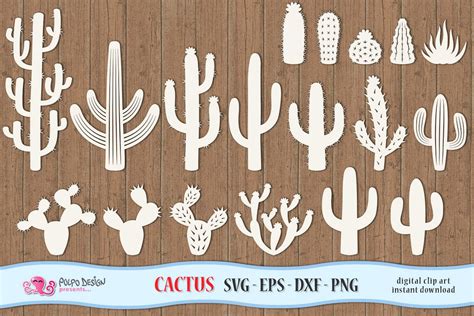 Cactus SVG