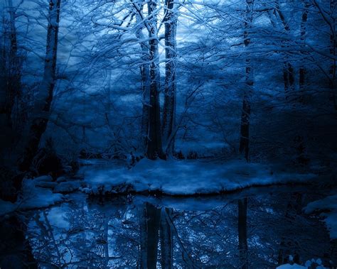 √画像をダウンロード Blue Forest Background 342969 Winter Forest Blue Background