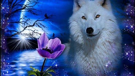 Blue Moon And Wolf Wallpapers Top Free Blue Moon And