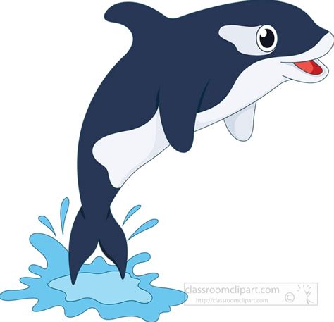 Killer Orca Whale Jumping Out Of The Water Clipart Classroom Clipart