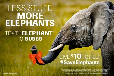 Proud To Be A Part Of This Campaigngive 10 To Help Save Elephants