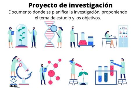 Proyecto De Investigación Partes Cómo Se Elabora Y Ejemplo