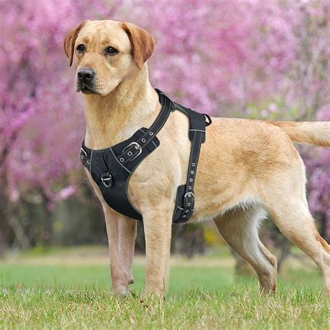 Idepet Dog Harness Vest With Handleno Pull Pet Vest Harness Safety