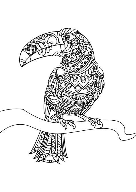 50 Best Ideas For Coloring Birds Coloring Pages Printable