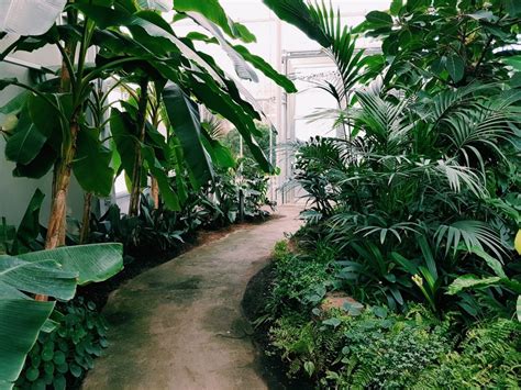 Backyard Design How To Create A Lush Jungle Style Garden Haven