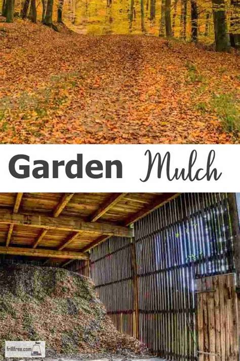 Simply bag up leaves in autumn and. Garden Mulch - best materials for mulching - tips and tricks