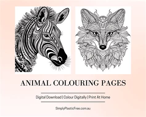 Detailed Animal Colouring Pages Simply Plastic Free