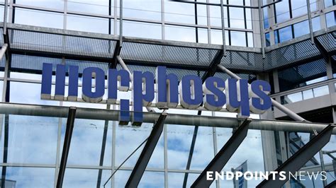 2007 fleetwood rv discovery 39l. FDA hands MorphoSys and Incyte a quick OK on their potential blockbuster CAR-T alternative ...