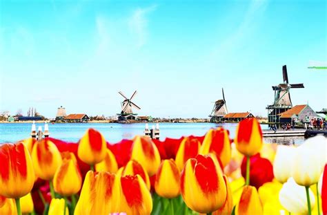 Zu viele Touristen in den Niederlanden: Alternativen zu ...