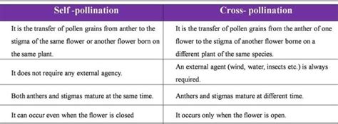Give Two Differences Between Self Pollination And Cross Pollination
