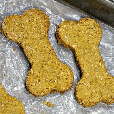 Oatmeal Pumpkin Homemade Dog Biscuits Are Easy To Make Crunchy Treats