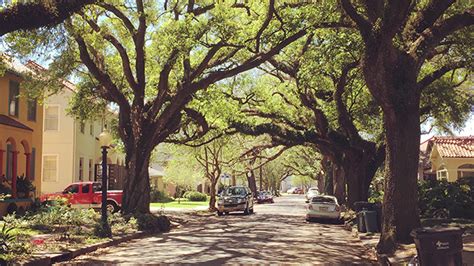 7 Non Touristy Things To Do In New Orleans Hi Usa