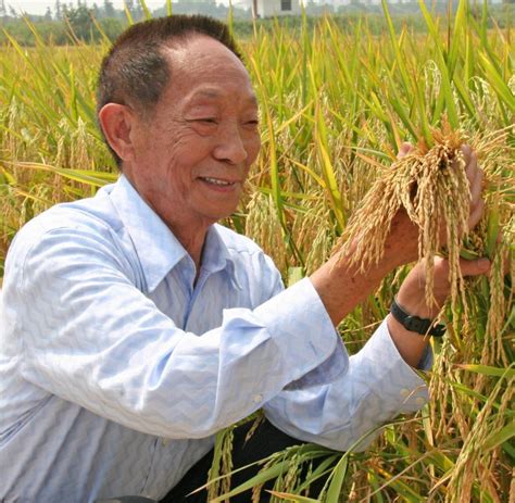 Find the perfect yuan longping stock photos and editorial news pictures from getty images. Hybridreis: Yuan Longping will den Hunger der Welt stillen ...