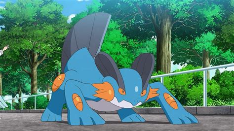 What Is The Mudkip Evolution Line In Pokemon Go