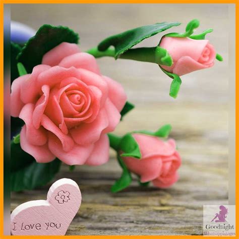 Whatsapp dp naira pic dp. 27+ Beautiful WhatsApp DP Free Download | News Share