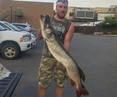 Was 50 18 Inch Tiger Muskie Landed In A Tiny Cny Lake A New State
