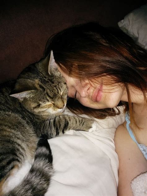 cat loves her human so much she hugs and watches over her every step of the way cat love cat