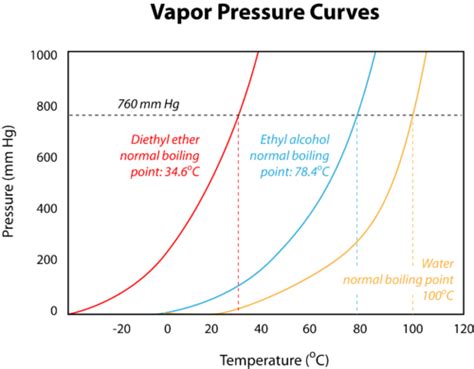 Vapor Pressure Curves Chemistry For Non Majors Course Hero