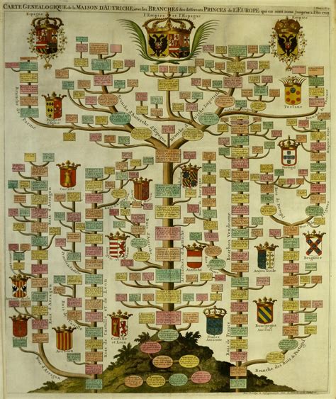 Genealogical Chart Of The House Of Austria With Branches Of The Princes