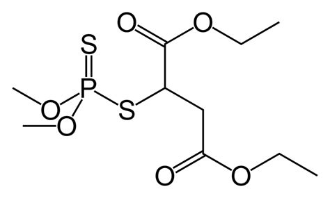 What Is The Difference Between Malathion And Parathion Compare The