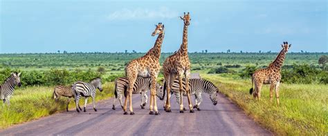 Popular Places To Visit In South Africa Nogrella Travel