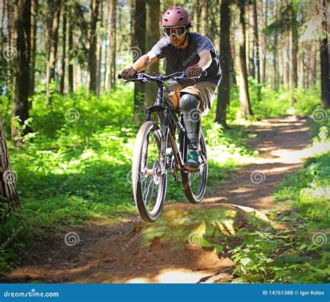 Cyclist In Forest Stock Photo Image Of Healthy Helmet 14761388