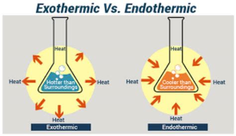 Diferencias Entre Las Reacciones Endotérmicas Y Exotérmicas