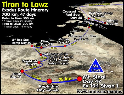 The Exodus Route 2nd Red Sea Camp