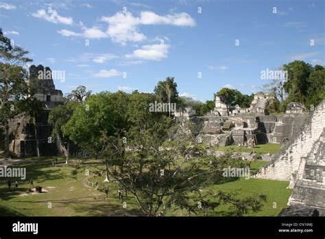 La Ruta Mayamayan Temples In The Jungle Of Tikal Guatemalacentral