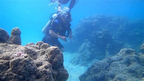 Scuba Diving At Havelock Islandandaman And Nicobar Islands Youtube