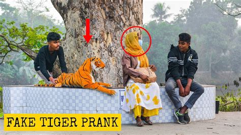 Fake Tiger Prank On Cute Girl Fake Tiger Vs Man Prank Video Part