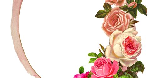 The Graphics Monarch Free Pink Rose Digital Flower Frame Download