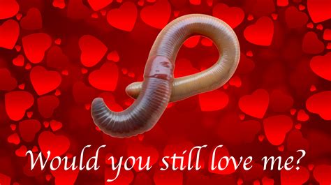 Would You Still Love Me If I Was A Worm Know Your Meme