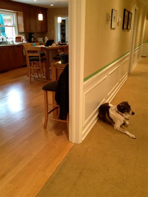 We did not find results for: Can I have two different wood floor colors adjacent to one ...