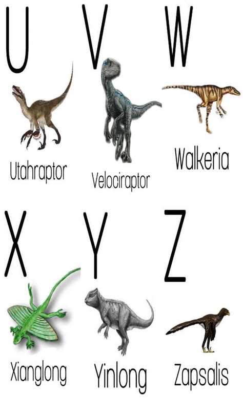 Abecedario De Dinosaurios Mundo De Rukkia