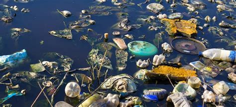 Environmental pollution is currently the biggest challenge facing the word today. What Are the Effects of Water Pollution on the Environment ...
